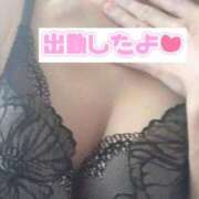 ヒメ日記 2026/02/16 11:50 投稿 あい One More 奥様 鶯谷店