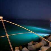 ヒメ日記 2025/11/03 23:20 投稿 みさと 完熟ばなな 上野店