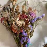 ヒメ日記 2025/11/05 11:30 投稿 みさと 完熟ばなな 上野店