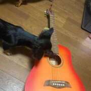 ヒメ日記 2025/11/12 10:44 投稿 みさと 完熟ばなな 上野店