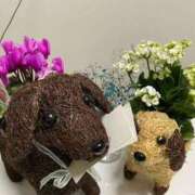 ヒメ日記 2025/12/26 13:26 投稿 みさと 完熟ばなな 上野店