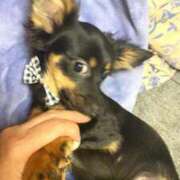 ヒメ日記 2025/12/31 17:46 投稿 みさと 完熟ばなな 上野店