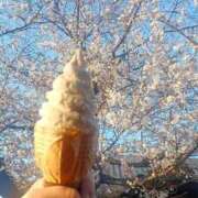 ヒメ日記 2026/04/03 19:14 投稿 つじり 熟女の風俗最終章 仙台店