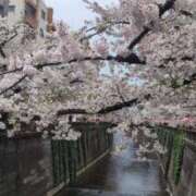 ヒメ日記 2026/04/05 15:51 投稿 らいか 松戸角海老根本店