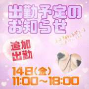 ヒメ日記 2025/11/13 16:59 投稿 なつめ 丸妻 新横浜店