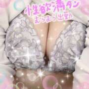 ヒメ日記 2025/11/27 16:08 投稿 なつめ 丸妻 新横浜店