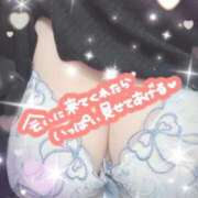 ヒメ日記 2026/01/24 16:46 投稿 なつめ 丸妻 新横浜店