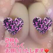 ヒメ日記 2026/01/31 22:13 投稿 なつめ 丸妻 新横浜店