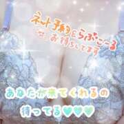 ヒメ日記 2026/02/05 11:49 投稿 なつめ 丸妻 新横浜店