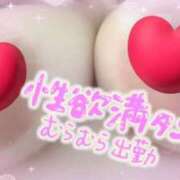 ヒメ日記 2026/03/31 12:05 投稿 なつめ 丸妻 新横浜店