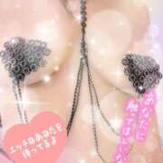 ヒメ日記 2026/04/19 22:53 投稿 なつめ 丸妻 新横浜店