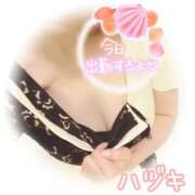 ヒメ日記 2025/08/27 11:04 投稿 ハヅキ 煌-kirameki-