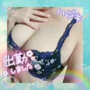 ヒメ日記 2025/09/20 12:06 投稿 ハヅキ 煌-kirameki-