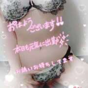 ヒメ日記 2026/01/23 08:28 投稿 ハヅキ 煌-kirameki-