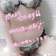 ヒメ日記 2026/02/28 06:22 投稿 ハヅキ 煌-kirameki-