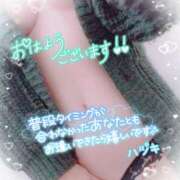 ヒメ日記 2026/03/20 13:04 投稿 ハヅキ 煌-kirameki-