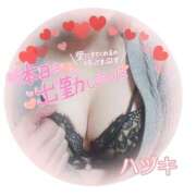 ヒメ日記 2026/05/06 10:11 投稿 ハヅキ 煌-kirameki-
