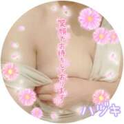 ヒメ日記 2026/06/12 17:38 投稿 ハヅキ 煌-kirameki-