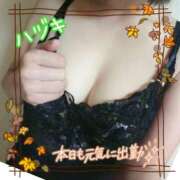 ヒメ日記 2026/10/02 12:29 投稿 ハヅキ 煌-kirameki-