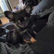 ヒメ日記 2025/11/22 21:08 投稿 のん LOVE横浜店(Iグループ)