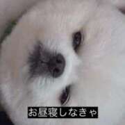 ヒメ日記 2025/09/07 17:02 投稿 かしい X-PARTY