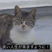 ヒメ日記 2025/11/30 18:51 投稿 かしい X-PARTY