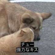 ヒメ日記 2025/12/06 16:21 投稿 かしい X-PARTY