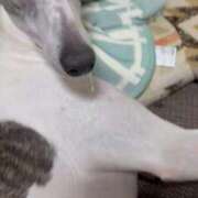 ヒメ日記 2026/01/12 09:19 投稿 まこと 熟女家 梅田店