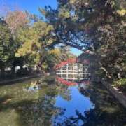 ヒメ日記 2025/12/20 19:33 投稿 ☆かのん☆ club MUTEKI