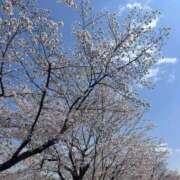 ☆かのん☆ 良い週末を🌸 CLUB MUTEKI大阪本店