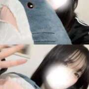 るい【FG系列】 🌱お名前教えたいです🦈💕︎🌱 フィーリングin横浜