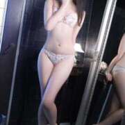 ヒメ日記 2025/10/22 23:06 投稿 ブドウ 飾窓