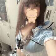 ヒメ日記 2026/01/15 14:26 投稿 ブドウ 飾窓