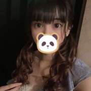 ヒメ日記 2026/01/27 17:40 投稿 ブドウ 飾窓