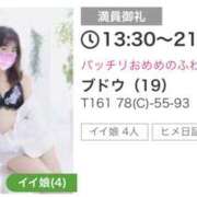 ヒメ日記 2026/02/25 11:57 投稿 ブドウ 飾窓