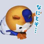 ヒメ日記 2025/10/28 09:45 投稿 持田 川崎人妻城