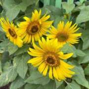 ヒメ日記 2025/09/12 18:37 投稿 ほの 全裸のいいなり美女OR満員ちかん電車