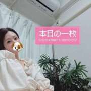 ヒメ日記 2025/10/27 21:17 投稿 ほの 全裸のいいなり美女OR満員ちかん電車