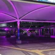 ヒメ日記 2025/11/24 04:50 投稿 いくみ 熟女の風俗最終章 町田店