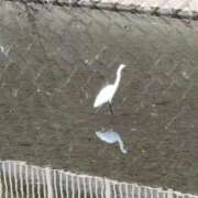 ヒメ日記 2025/11/25 02:20 投稿 いくみ 熟女の風俗最終章 町田店