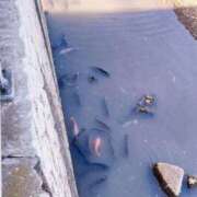 ヒメ日記 2026/01/10 15:56 投稿 いくみ 熟女の風俗最終章 町田店