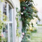 ヒメ日記 2025/08/22 17:11 投稿 そで 熟女の風俗最終章 本厚木店