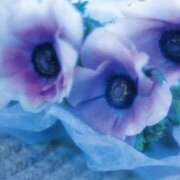 ヒメ日記 2025/08/22 22:54 投稿 そで 熟女の風俗最終章 本厚木店