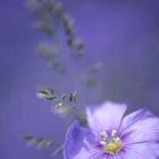 ヒメ日記 2025/08/25 19:33 投稿 そで 熟女の風俗最終章 本厚木店