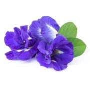 ヒメ日記 2025/08/27 17:03 投稿 そで 熟女の風俗最終章 本厚木店