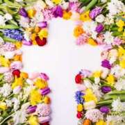 ヒメ日記 2025/08/27 19:01 投稿 そで 熟女の風俗最終章 本厚木店