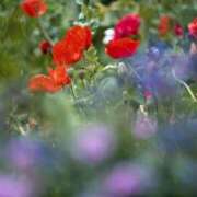 ヒメ日記 2025/08/29 17:37 投稿 そで 熟女の風俗最終章 本厚木店