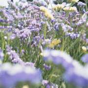 ヒメ日記 2025/09/05 16:52 投稿 そで 熟女の風俗最終章 本厚木店