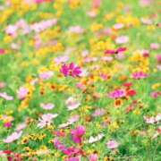 ヒメ日記 2025/09/11 21:46 投稿 そで 熟女の風俗最終章 本厚木店