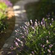 ヒメ日記 2025/09/11 21:58 投稿 そで 熟女の風俗最終章 本厚木店